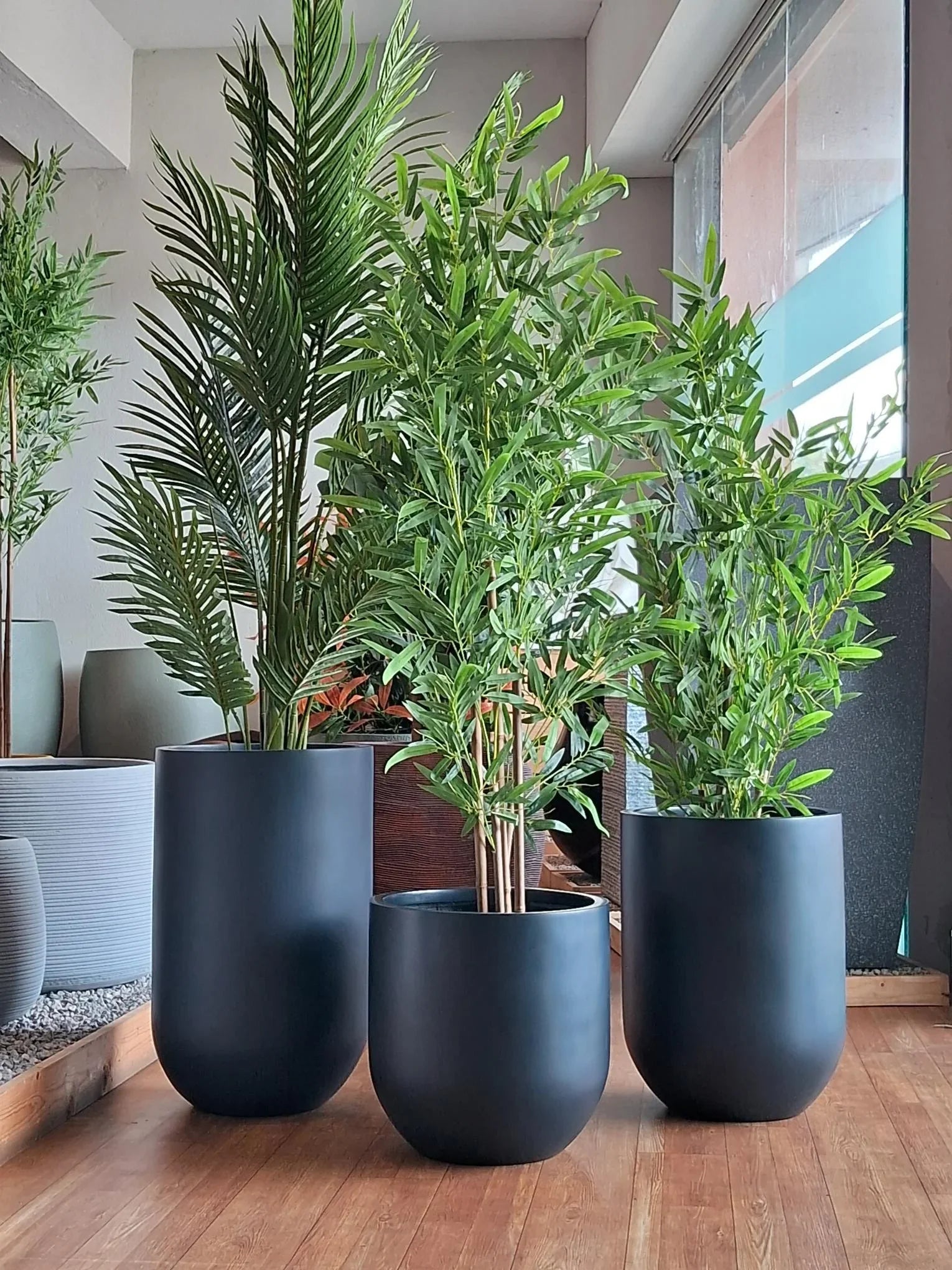 Natural Plants