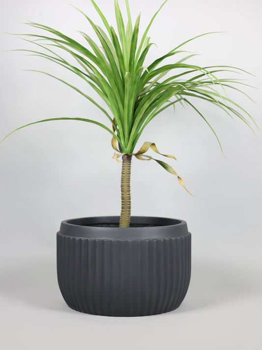 Orchid-D Grey Fiberglass Planter