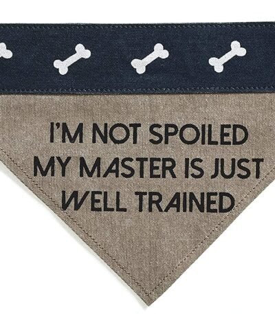 Slip on Bandana: Small/Medium (Fido)