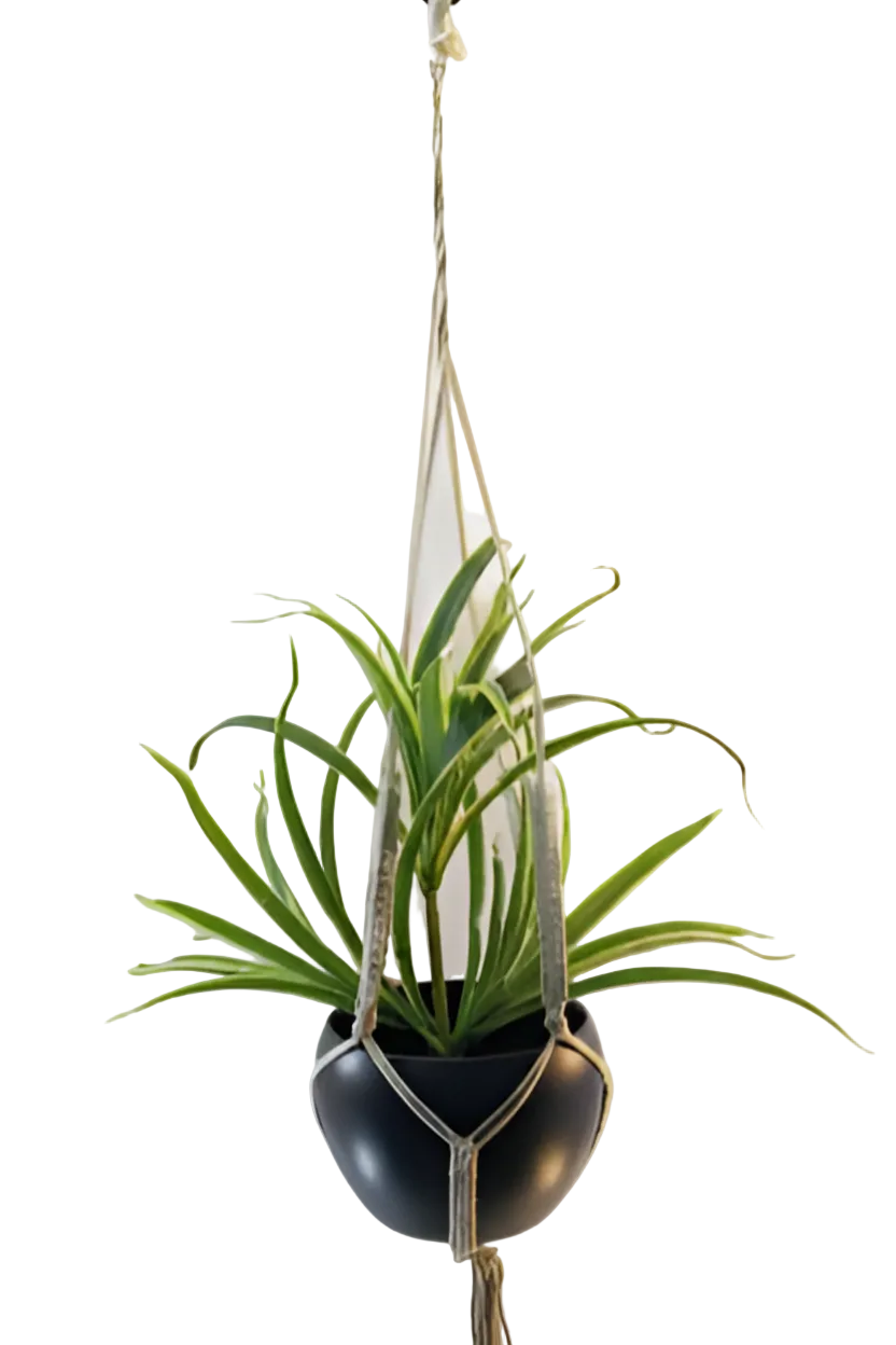 Iron Hanging Pot with Jute Rope