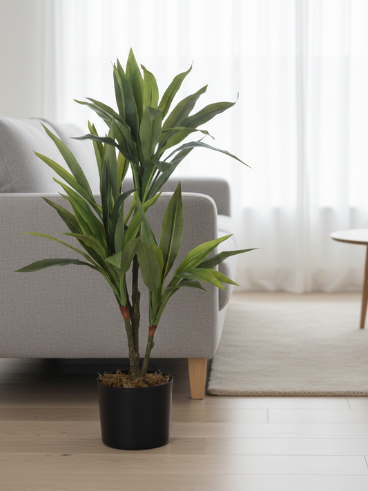 Potted plant in a living room setting with a gray sofa and white curtains.