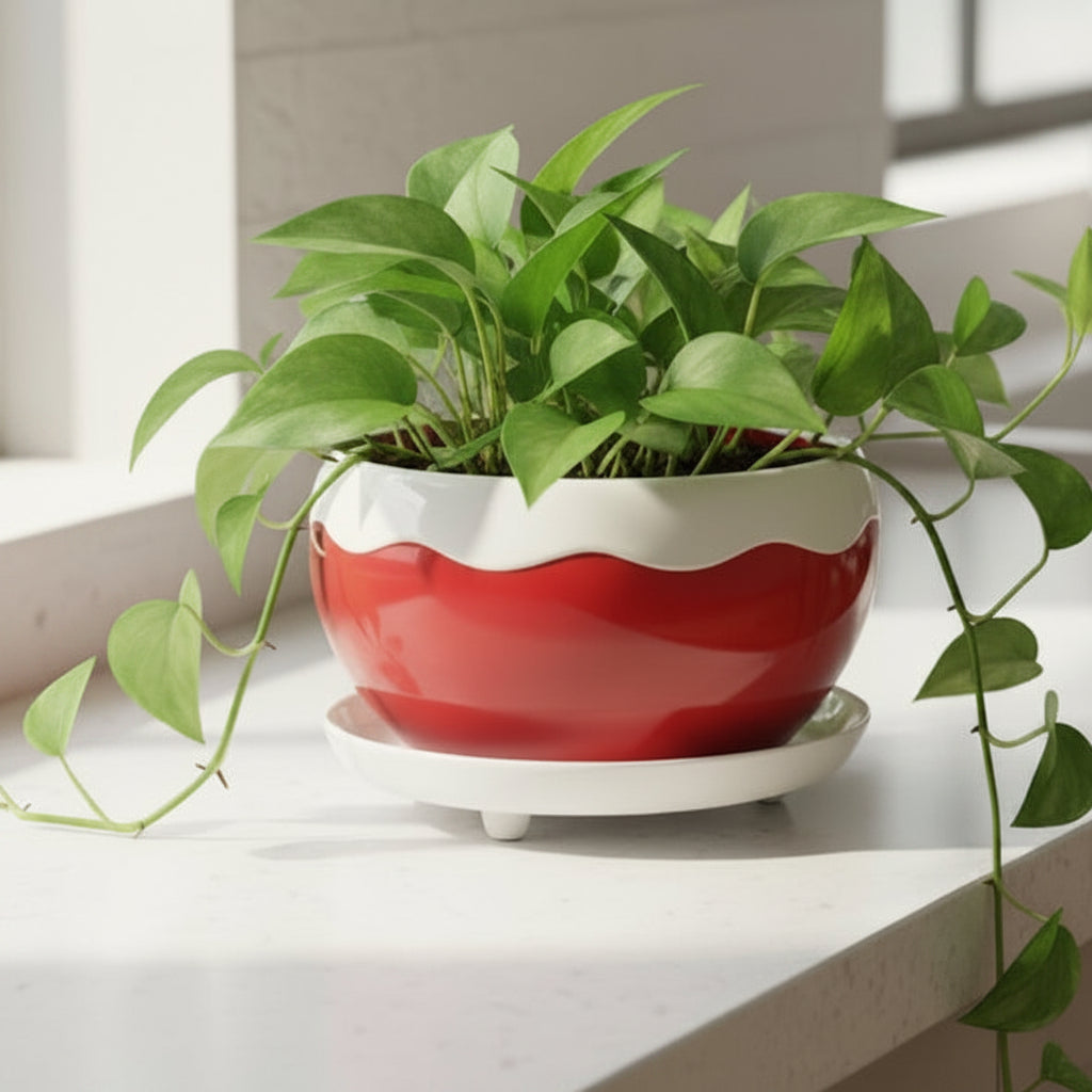 Round Glossy Metal Planter with Tray – Multicolor