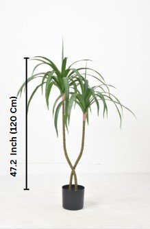 Dracaena Fragrans Faux Plant 47″– Air-Purifying Elegance for Home & Office