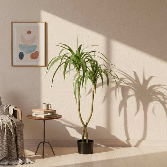 Dracaena Fragrans Faux Plant 47″– Air-Purifying Elegance for Home & Office