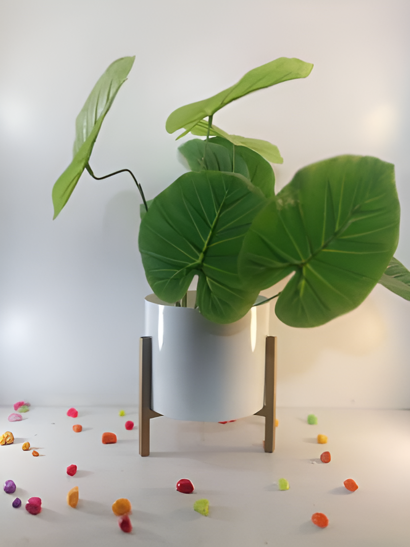 Iron Planter with Wooden Stand – Black & White