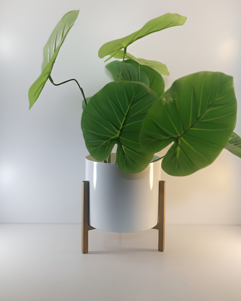 Iron Planter with Wooden Stand – Black & White
