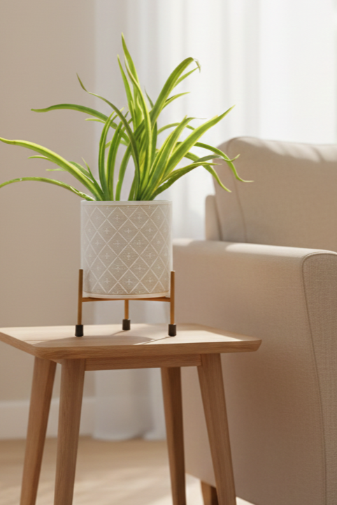 Wooden side table with a potted plant next to a beige sofa in a living room.
