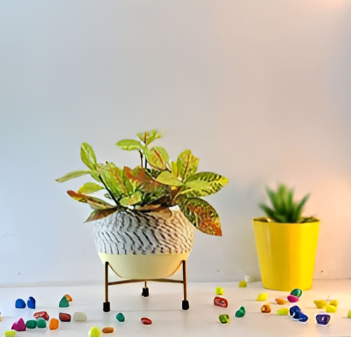 Elevated Round Iron Planter with Stand