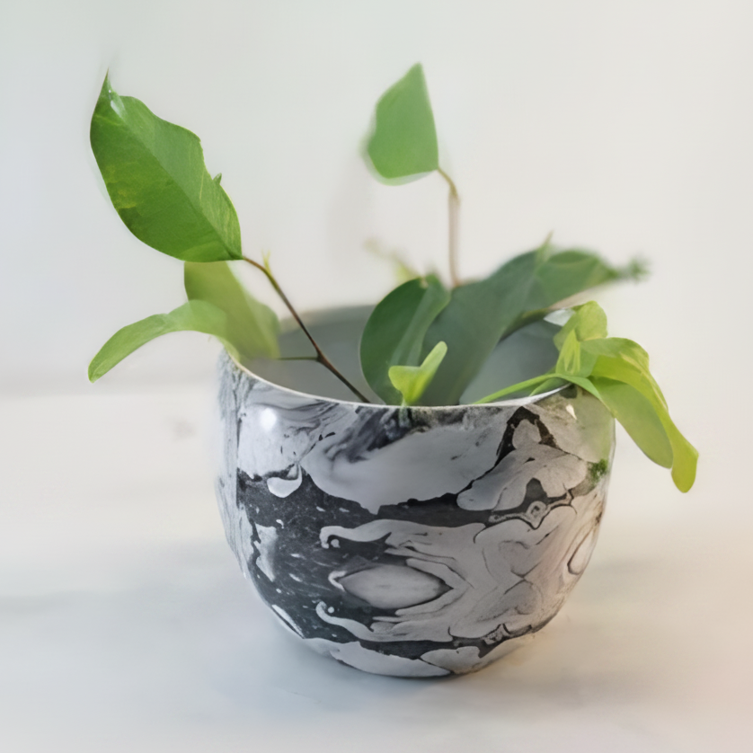 Printed Metal Pots
