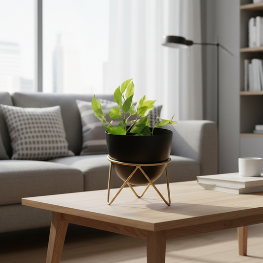 Living room with a plant on a coffee table, gray sofa, and bookshelf.