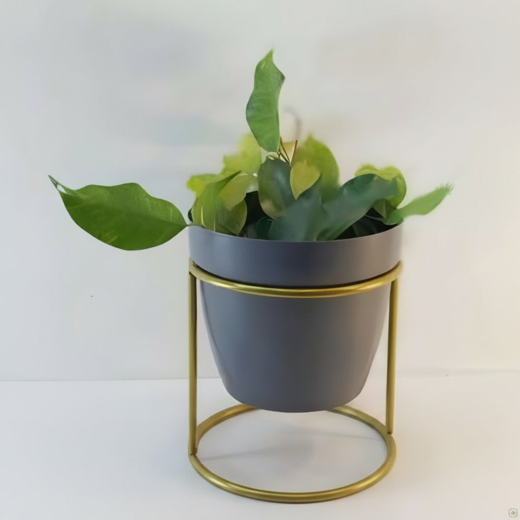 Round Cylinder Stand Planter