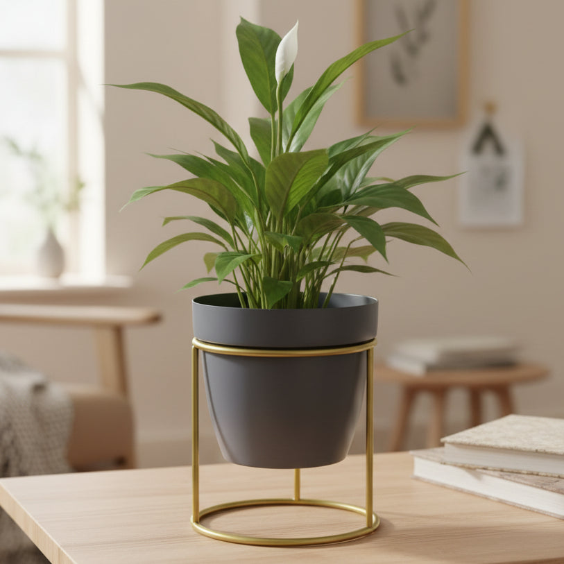Round Cylinder Stand Planter
