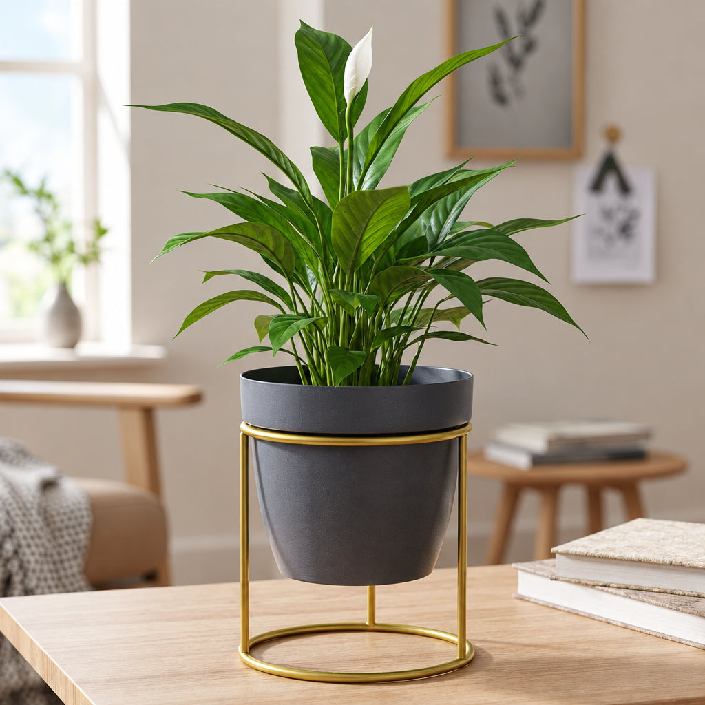 Round Cylinder Stand Planter