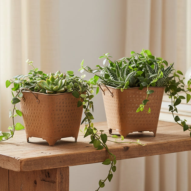 Oval Dotted Metal Planters – Set of 2