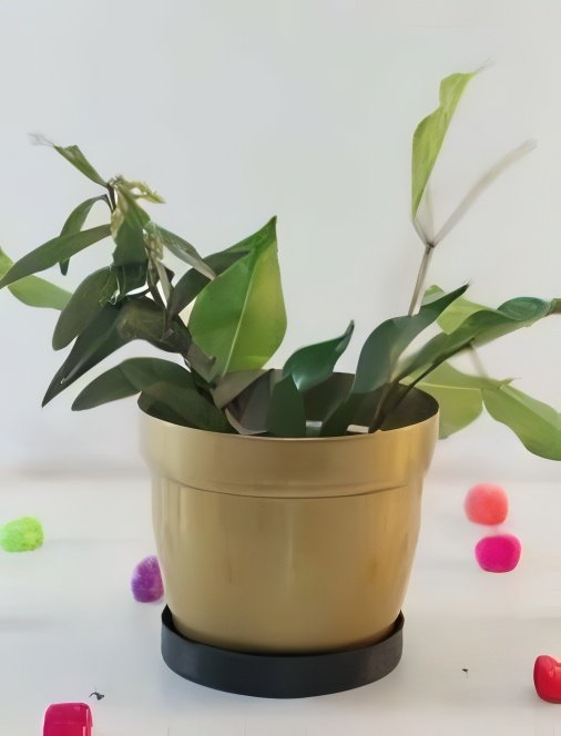 Compact Metal Planter with Circular Base