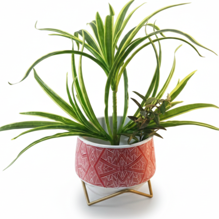 Wide Printed Metal Planter with Gold Cross Stand