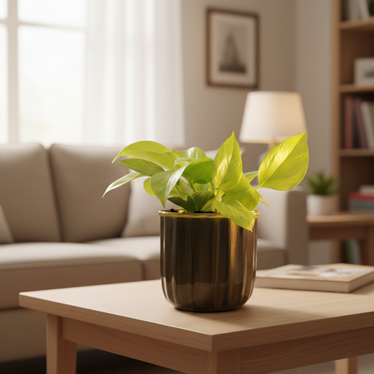 Compact Round Metal Planter – Smooth Gloss Finish