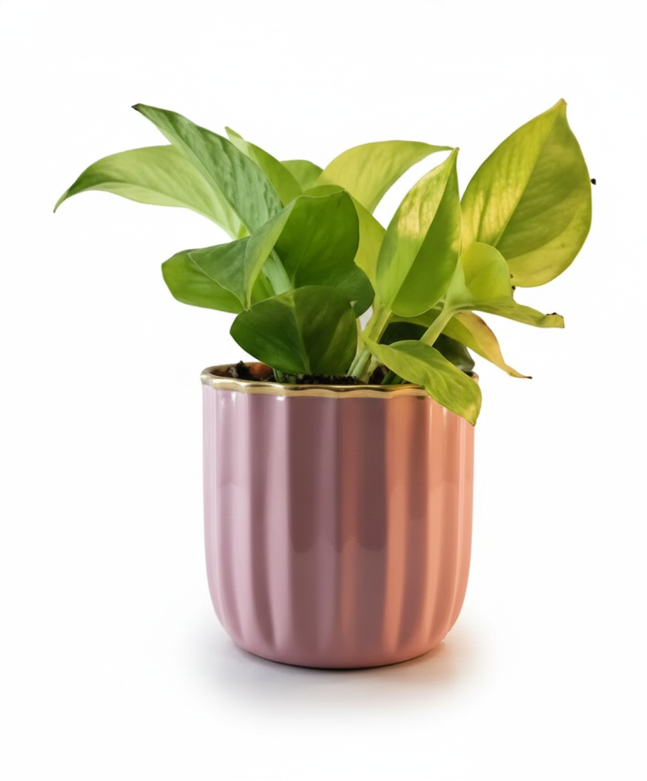Compact Round Metal Planter – Smooth Gloss Finish