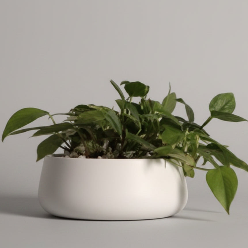 Metal Handi Pot