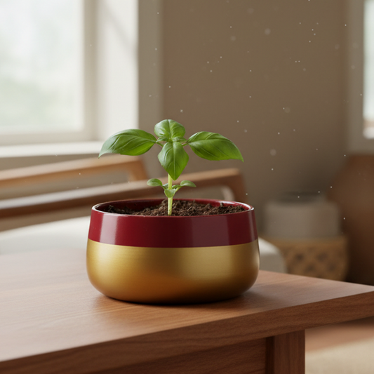 Wide Rim Round Stone-Finish Pot