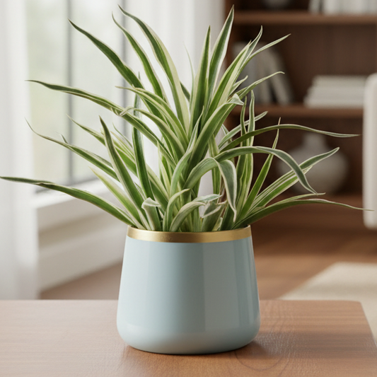 Round Metal Planter
