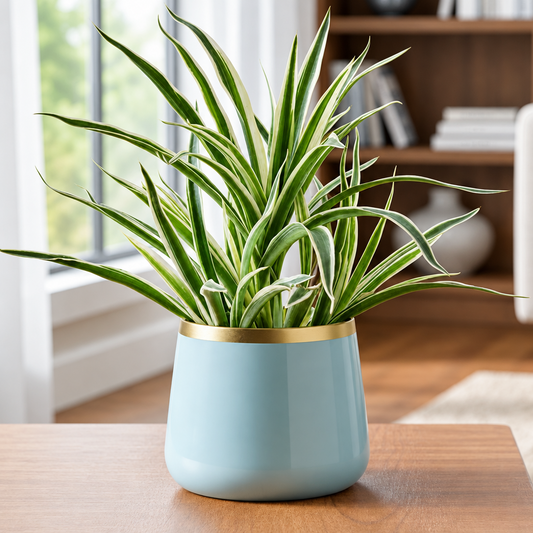 Round Metal Planter