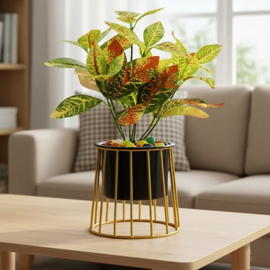 Decorative plant in a black pot with gold base on a wooden table in a living room.