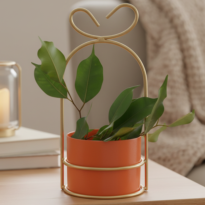 Heart-Loop Metal Planter with Gold Frame
