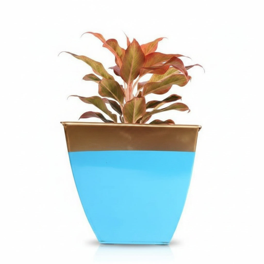 Multicolor Tapered Planter