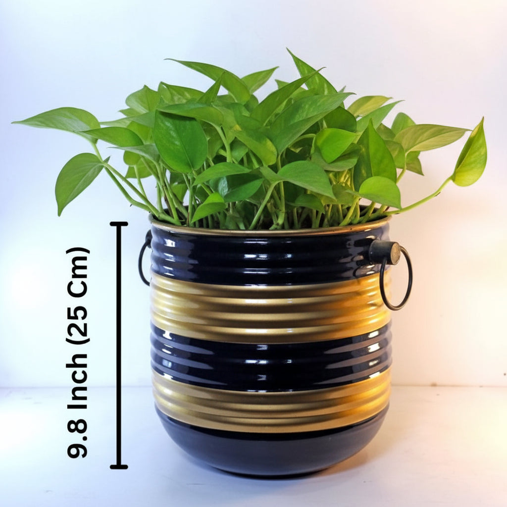 Stylish Round Planter with Stripes 9.84 Inch Pot