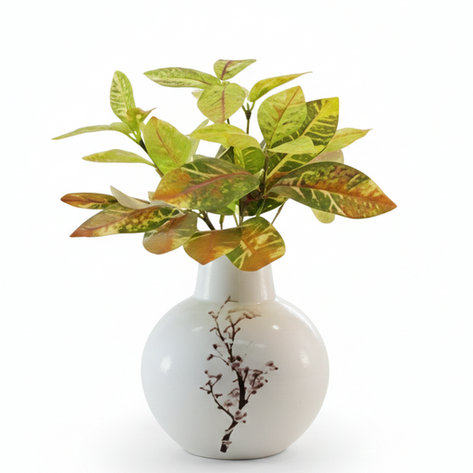 White vase with decorative design containing a green plant on a white background