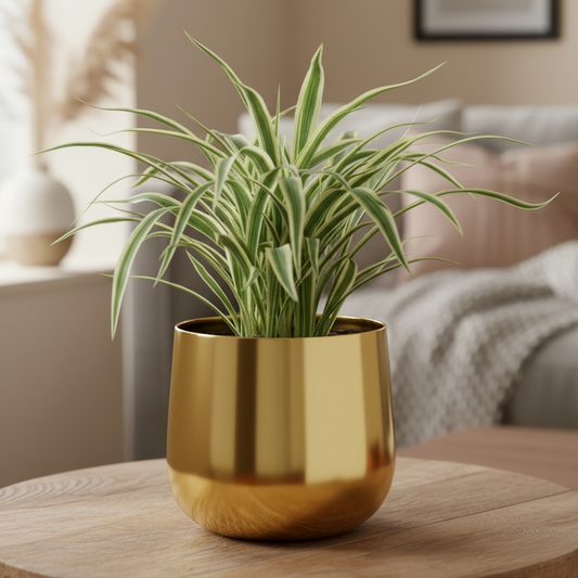 Rounded Metal Planter