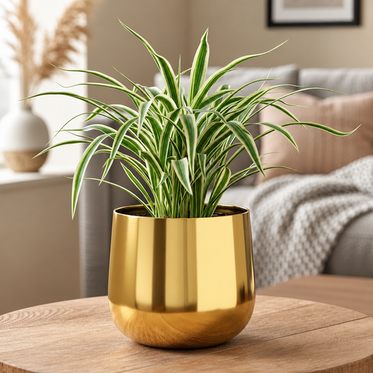 Rounded Metal Planter