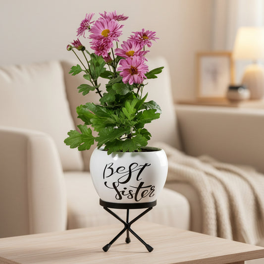 Metal Printed Planter with Stand