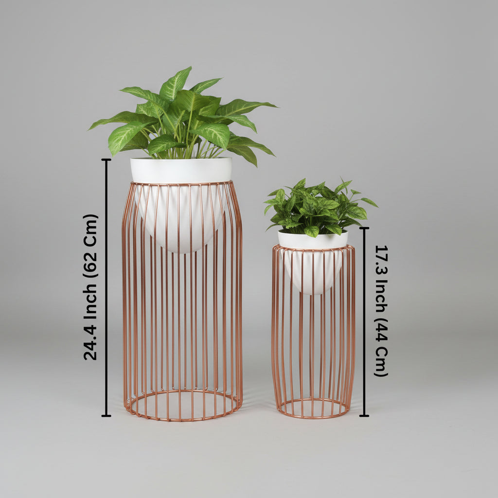 Rose Gold Metal Cage Planters Set of 2 Modern