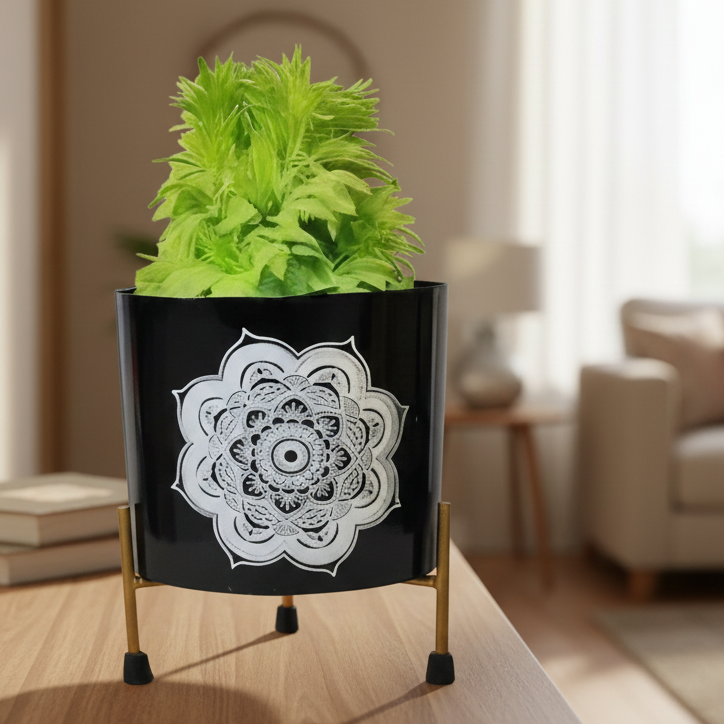 Potted plant in a decorative black pot with white mandala design on a wooden table in a living room.