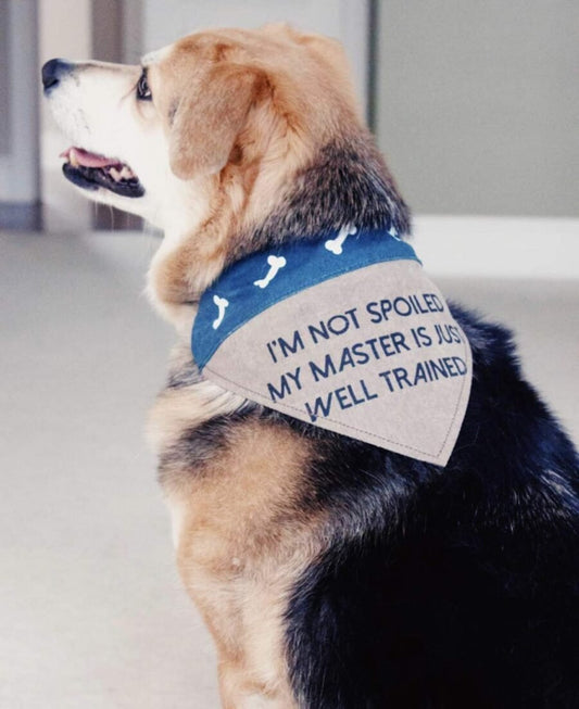 Slip on Bandana: Medium/Large (Fido)