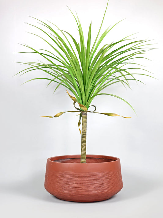 Oak Terracotta Fiberglass Planter