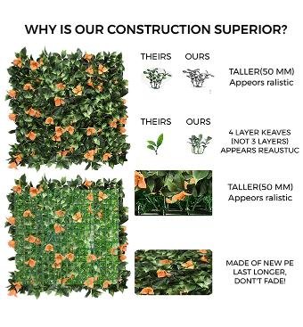 Bougainvillea Orange Vertical Garden 50cmx50cm