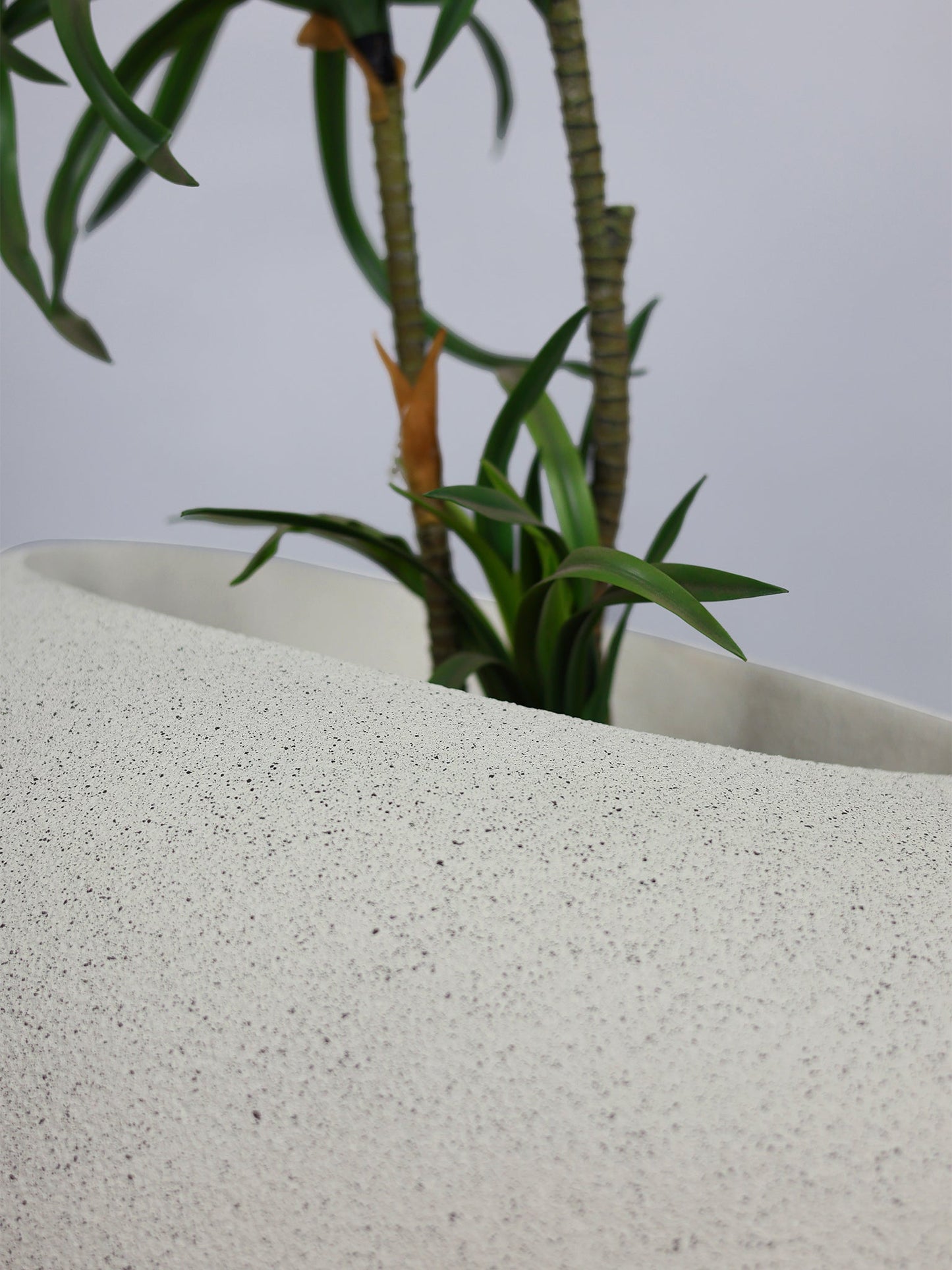 Patato - D Oyster White Fiberglass Planter | Premium Modern Elliptical Indoor & Outdoor Pot