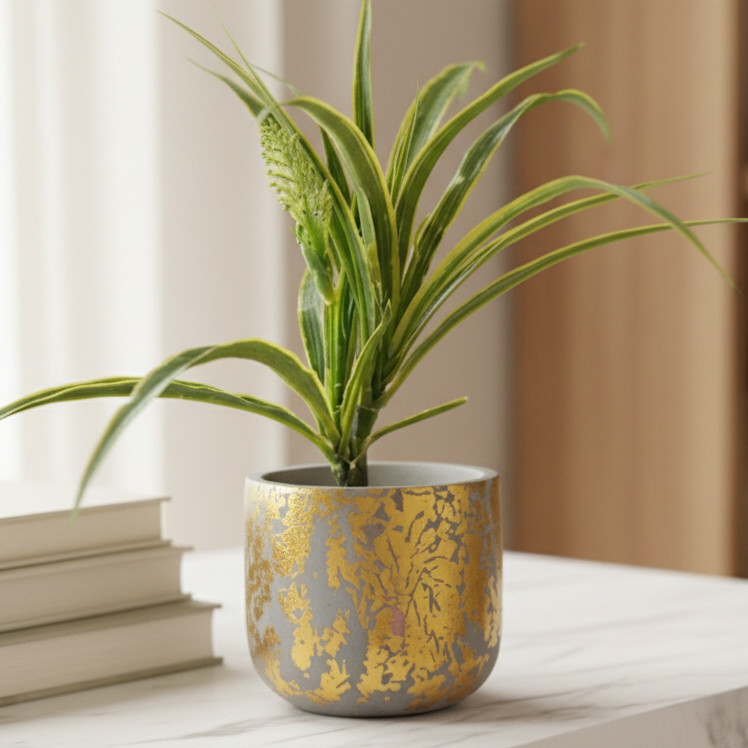 Gilded Granite Terracotta Planter