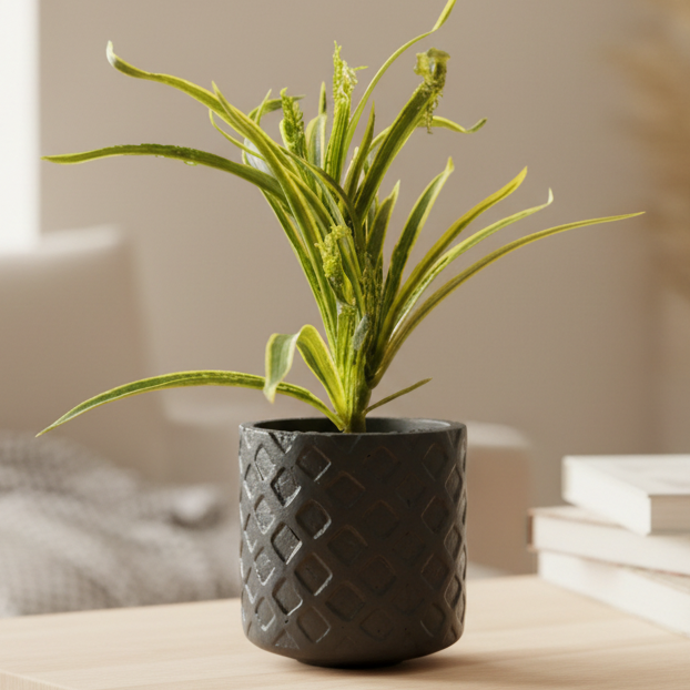 Diamond Lattice Terracotta Planter