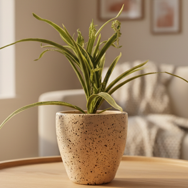 Speckled Earth Terracotta Planter