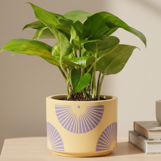 Gilded Leaf Terracotta Planter