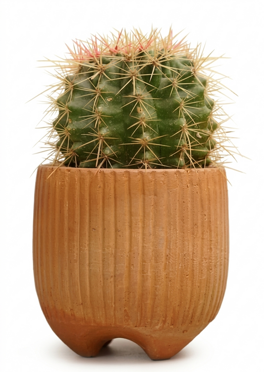 Midnight Warli Terracotta Planter