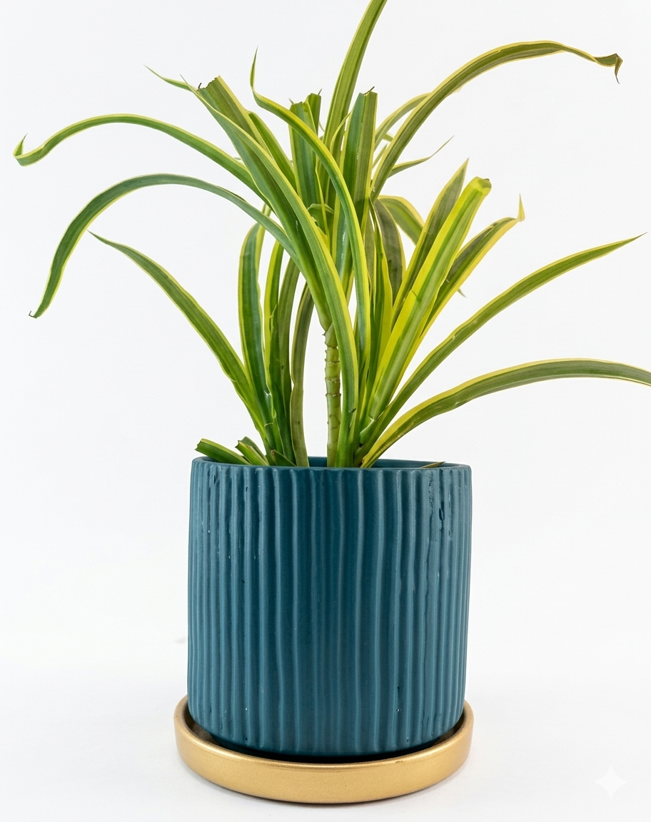 Fluted Horizon Terracotta Planter