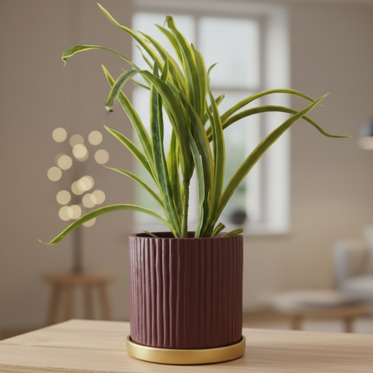 Fluted Horizon Terracotta Planter