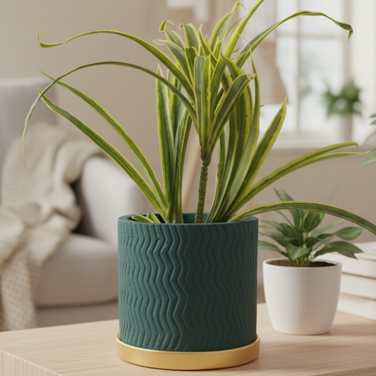 Chevron Wave Terracotta Planter