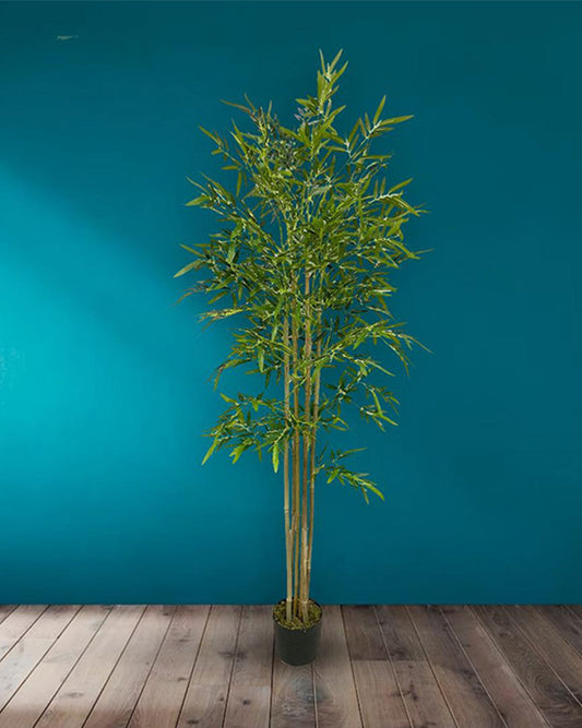 Ficus Artificial Plant – Premium Lifelike Faux Tree for Stylish Home And Office Decor 71