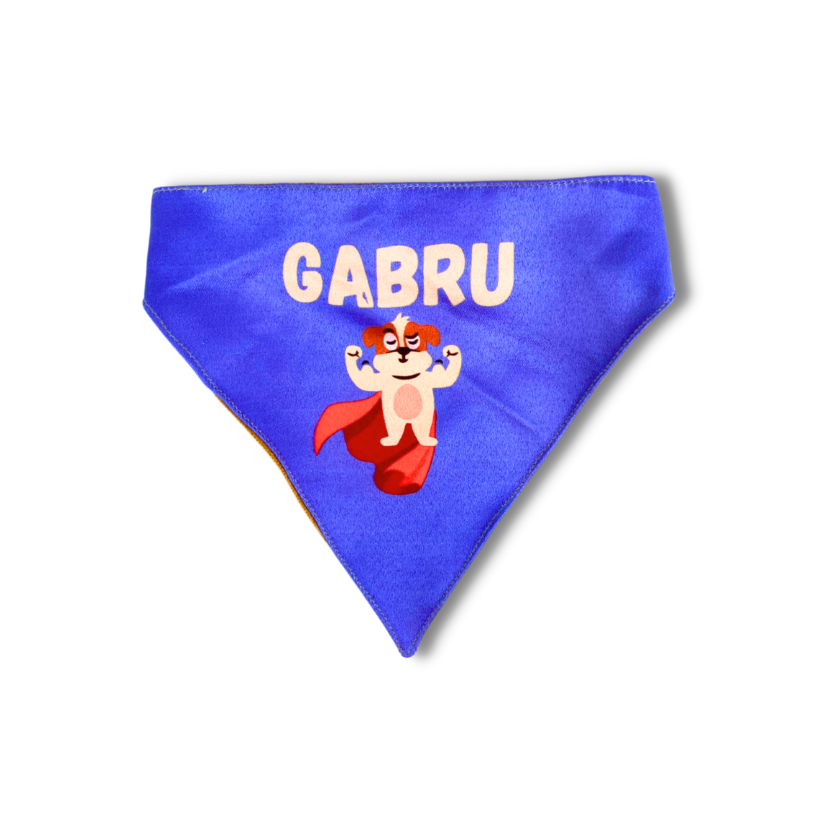 Pet Dog Bandana Gabru
